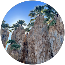 Kate F profile picture